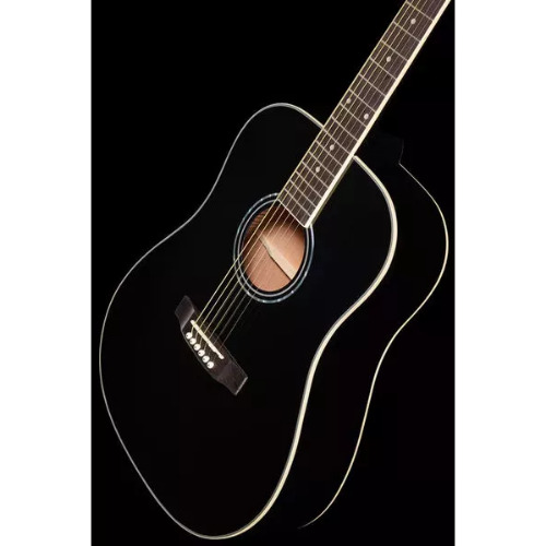 Chitara acustica Harley Benton D-120BK
 Chitara acustica Harley Benton D-120BK