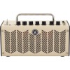 Amplificator chitara electrica Yamaha THR5, 10W, 5 Sloturi de memorie, Reverb, Line input, Iesire Casti