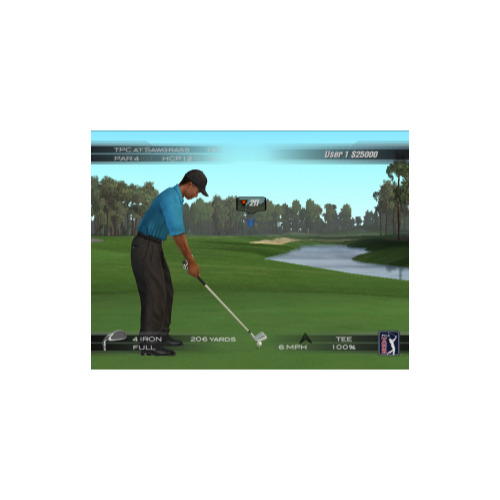 Tiger Woods PGA Tour 2004 - Joc PS2
